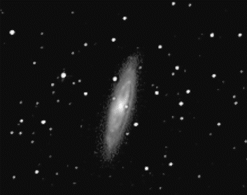 m65dl.gif (17 K)