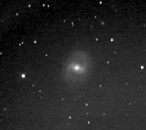 m91noccd.jpg (40 K)